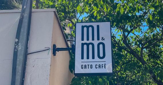 Café com Gatinhos