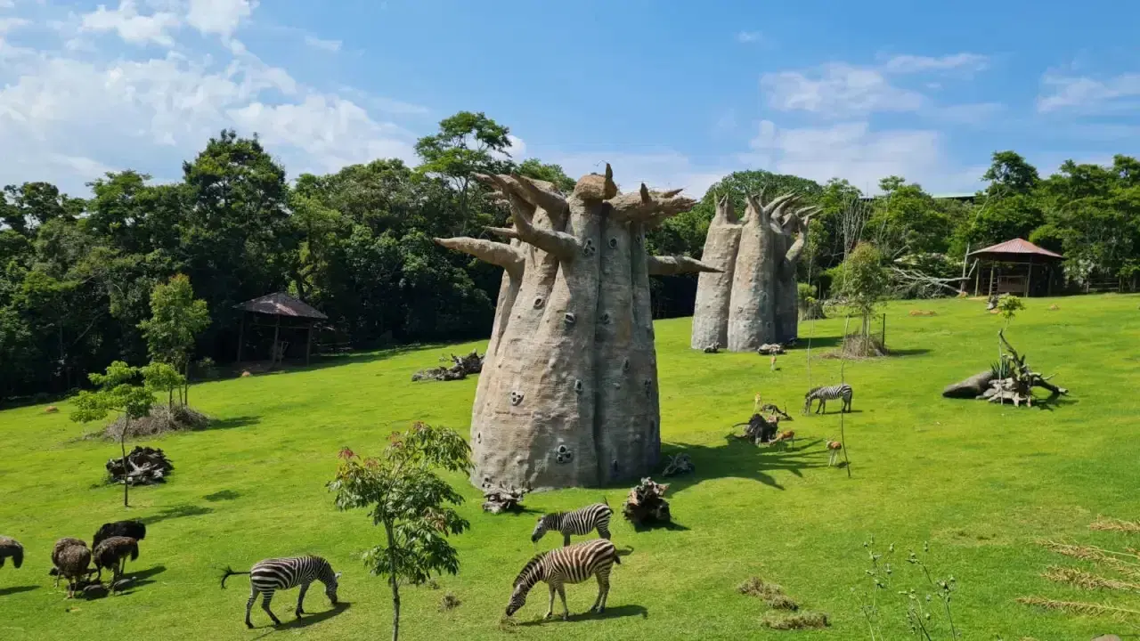 Animália Park